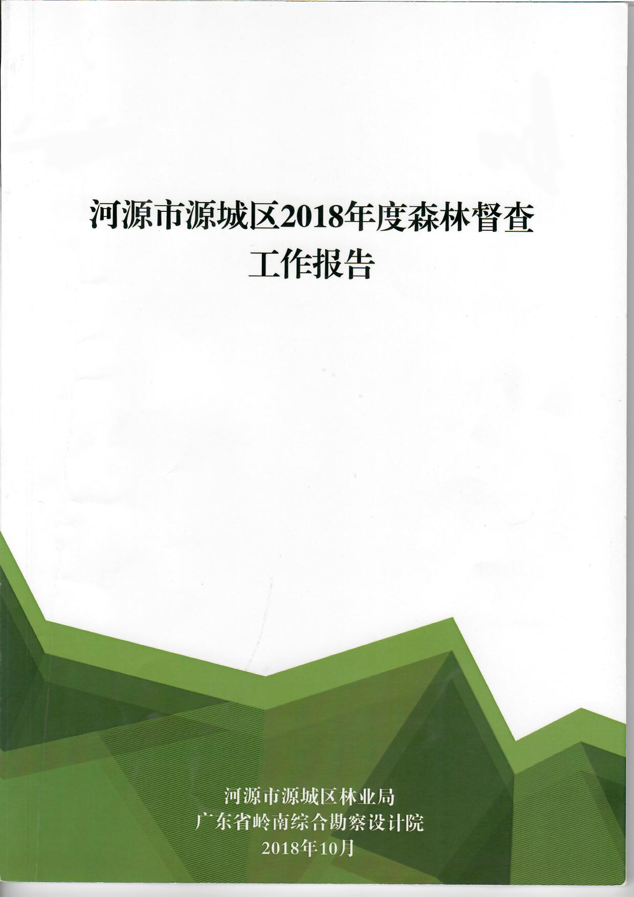 4河源市源城区2018年度森林督查工作报告2018-10.jpg