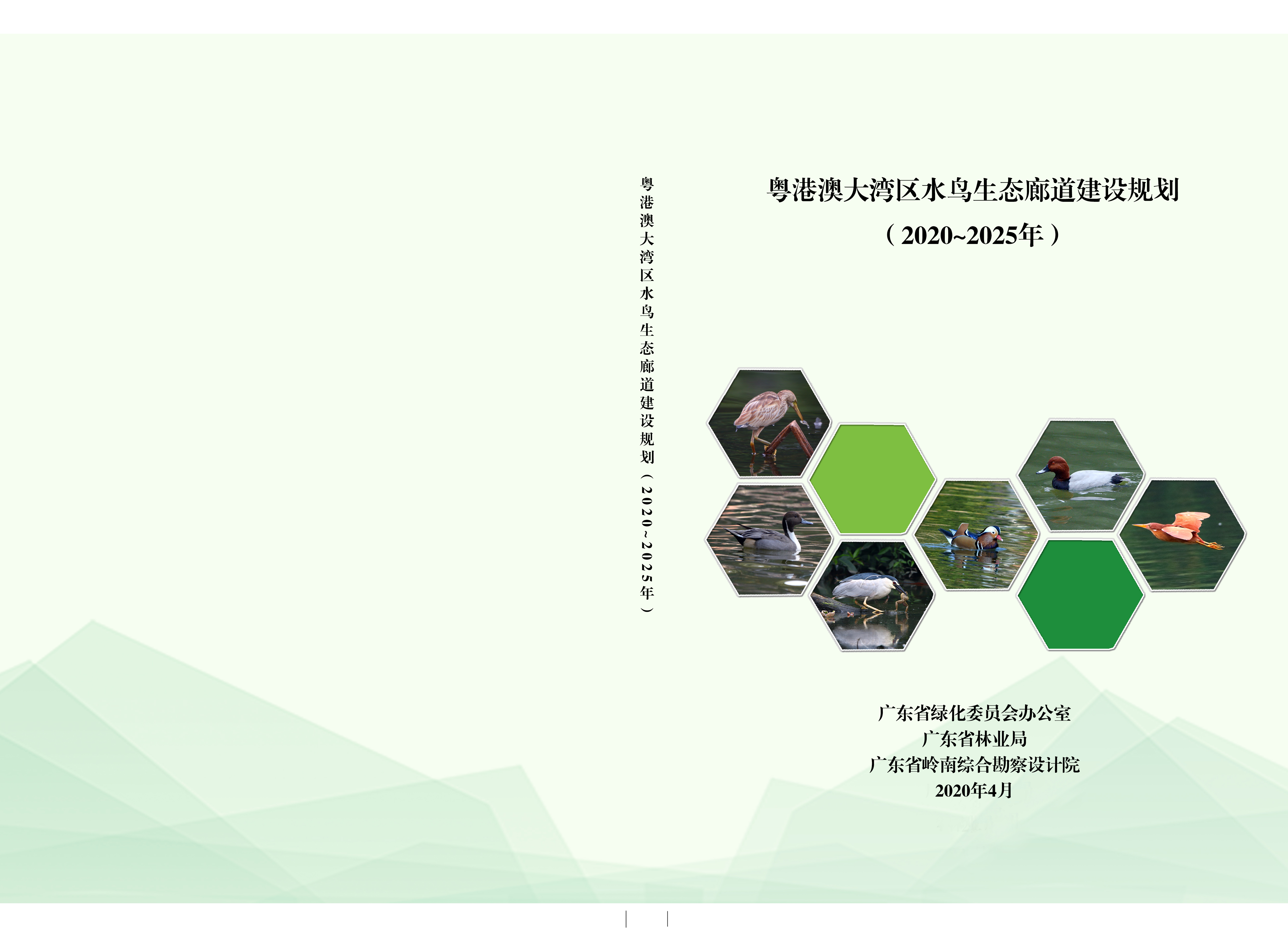 8粤港澳大湾区水鸟生态廊道建设规划2020-4.jpg