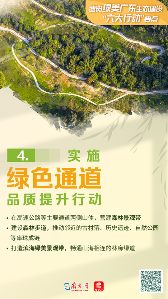 绿美广东六大行动4.png