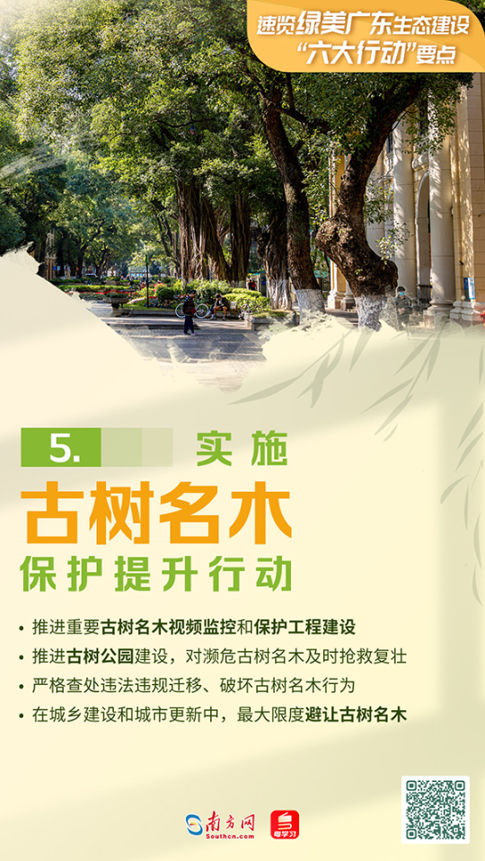 绿美广东六大行动5.png