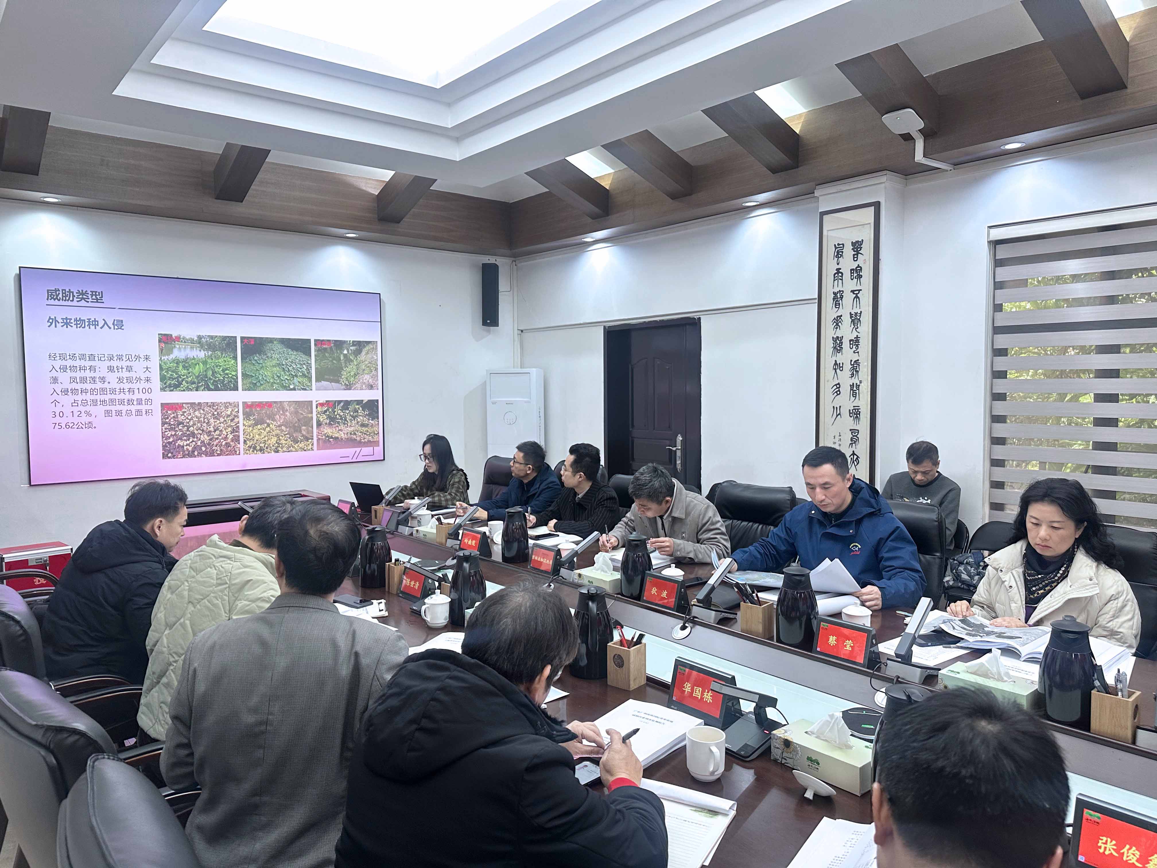 放网站.jpg