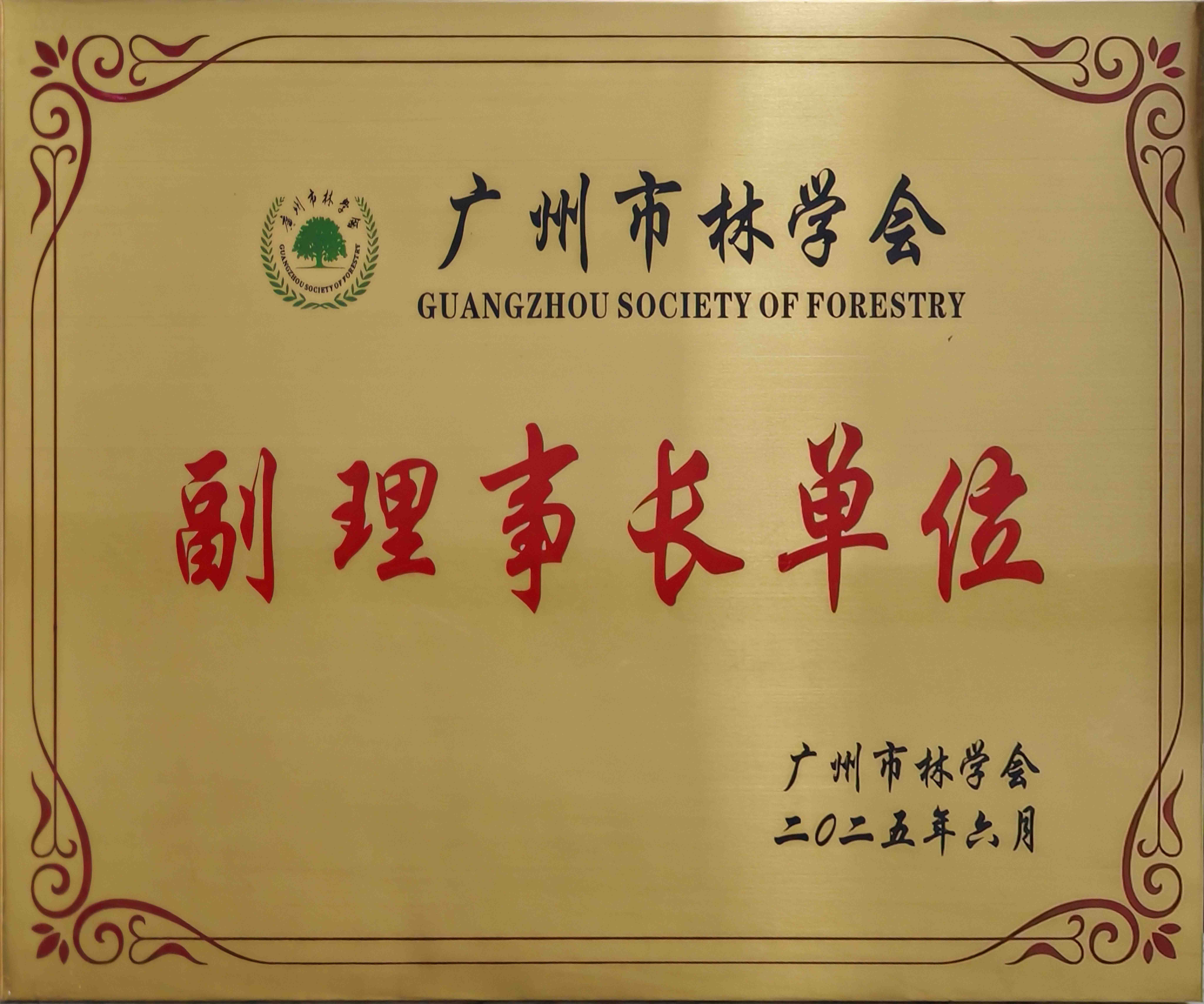 放网站.jpg