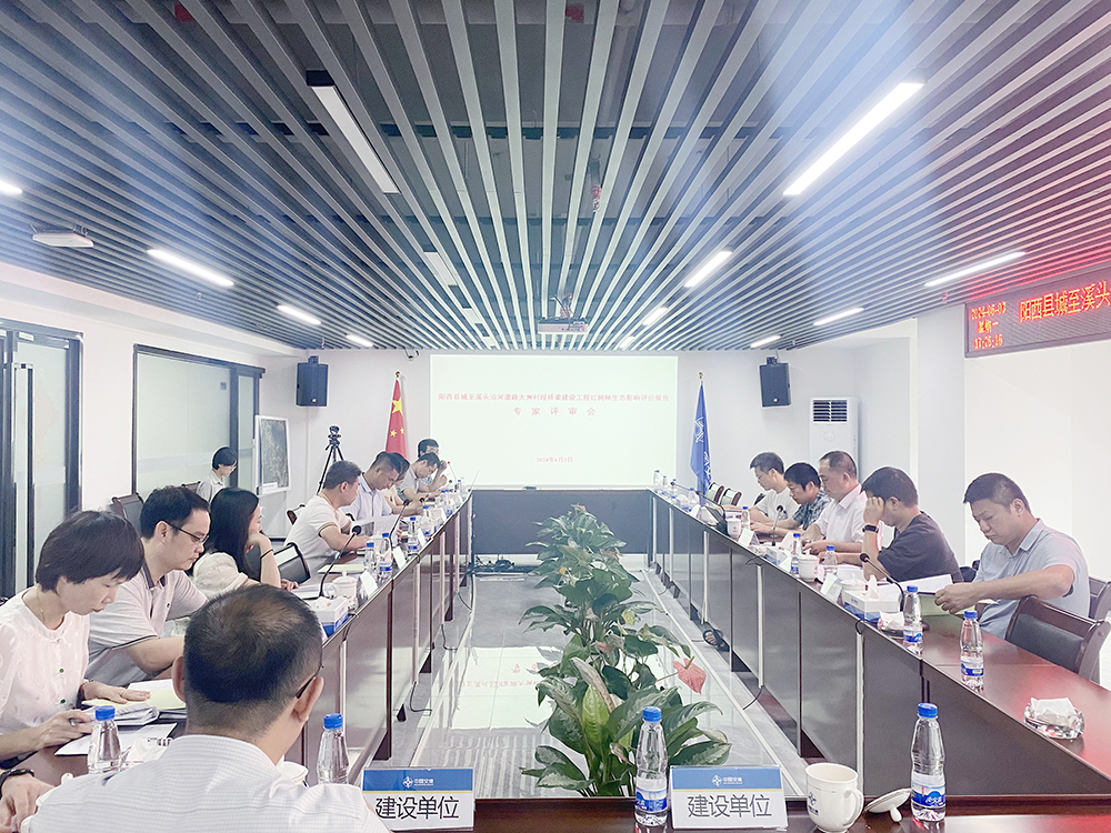 放网站.jpg