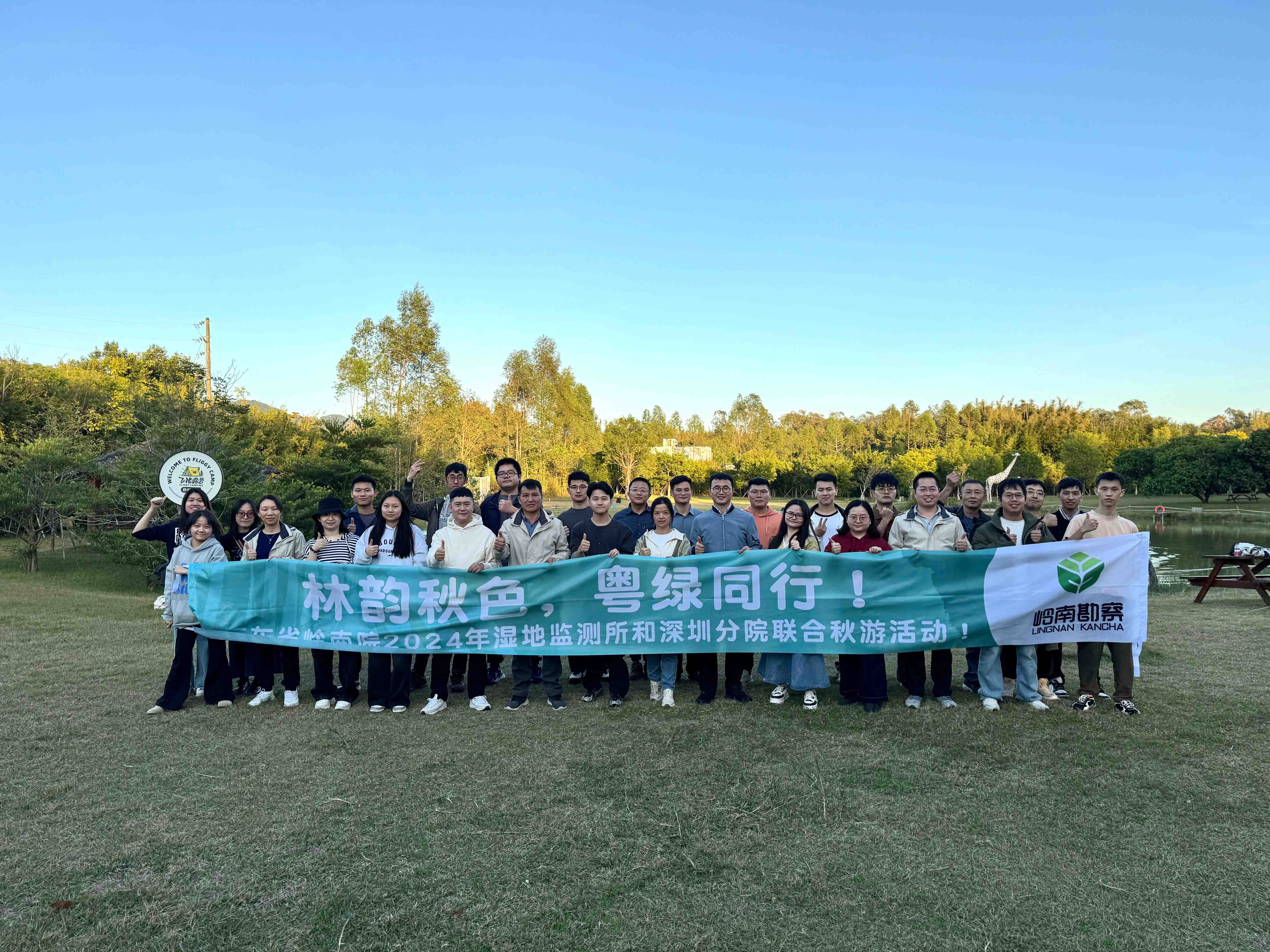 放网站5.jpg