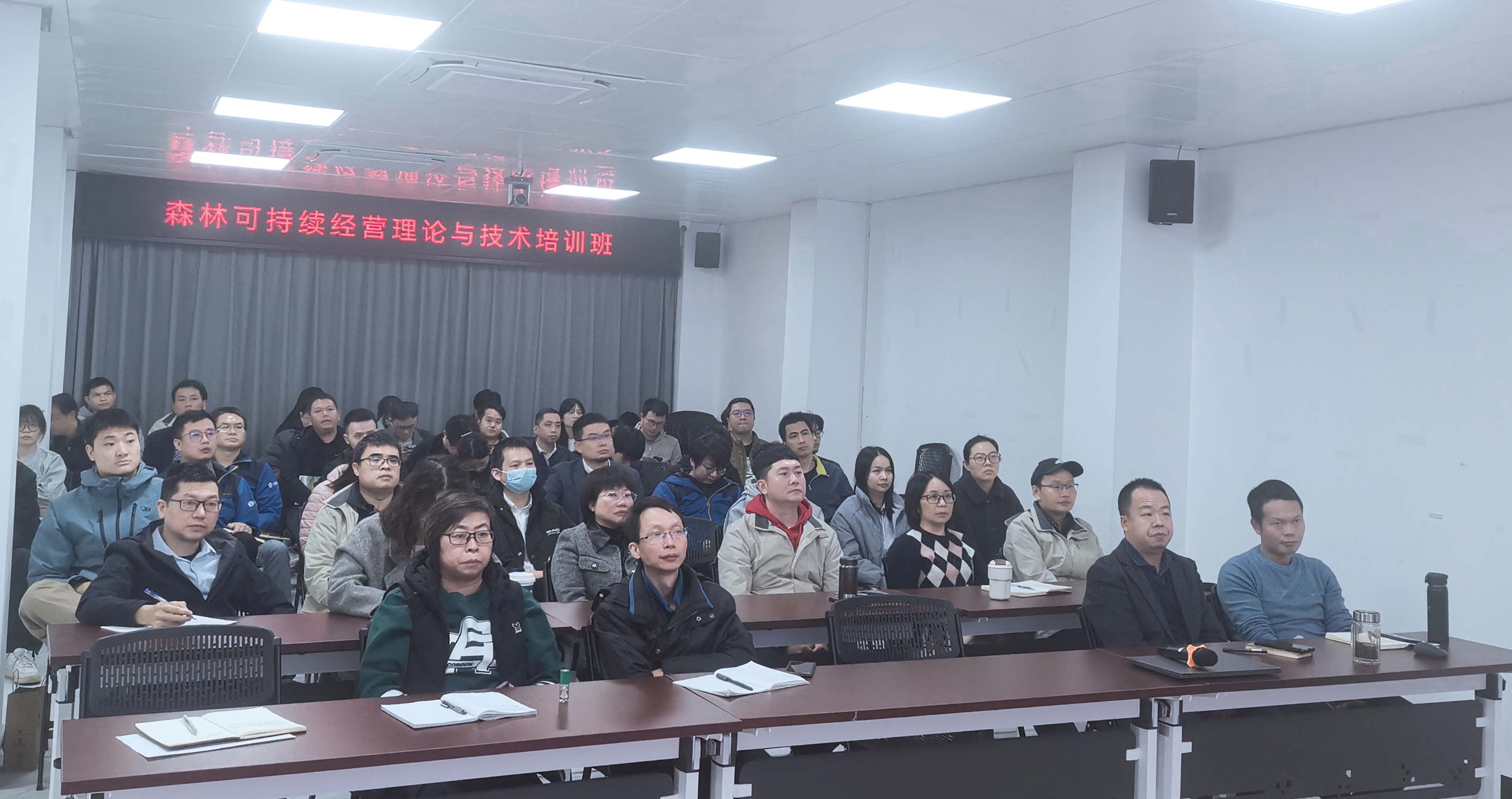 放网站12.jpg