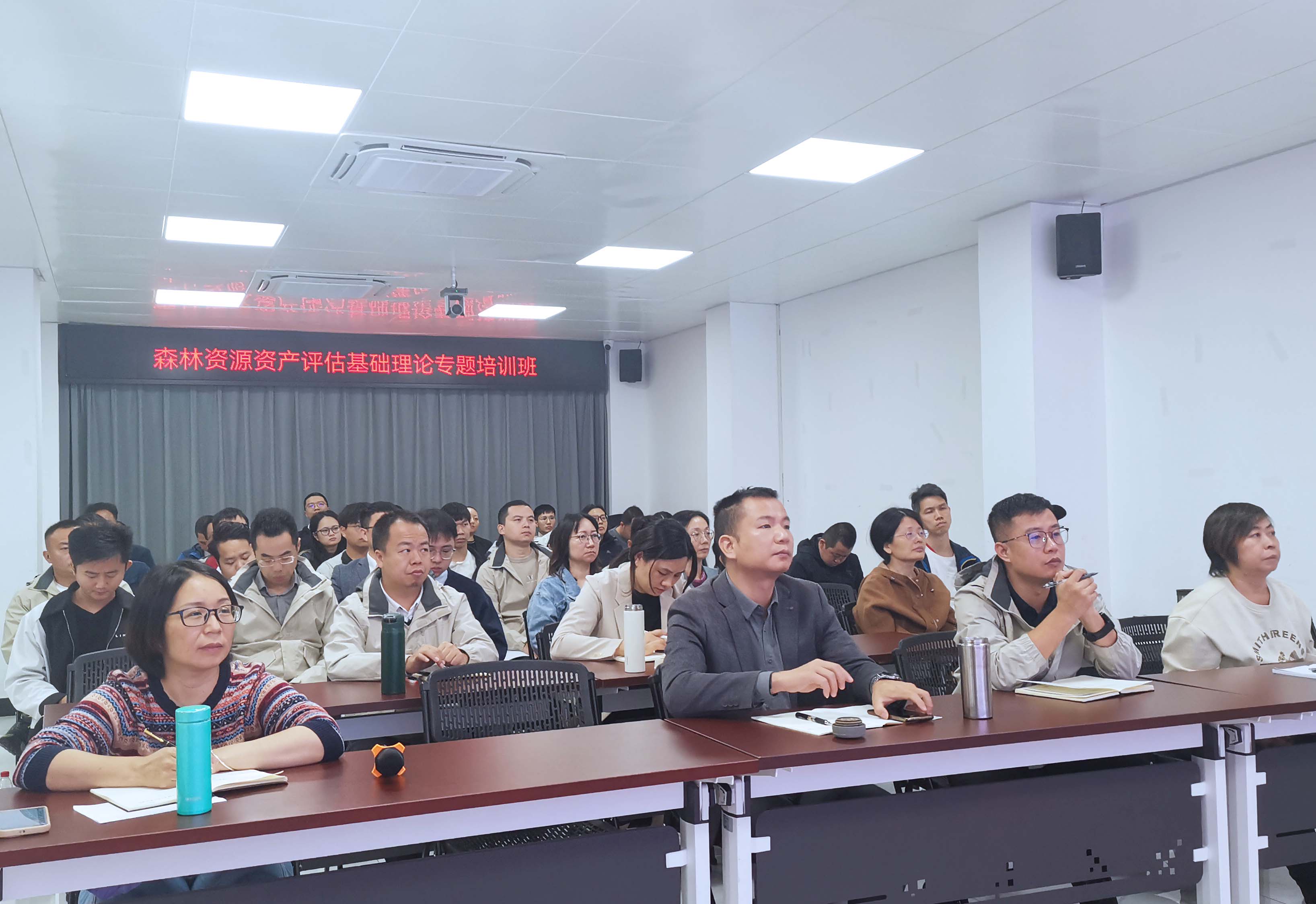 放网站13.jpg