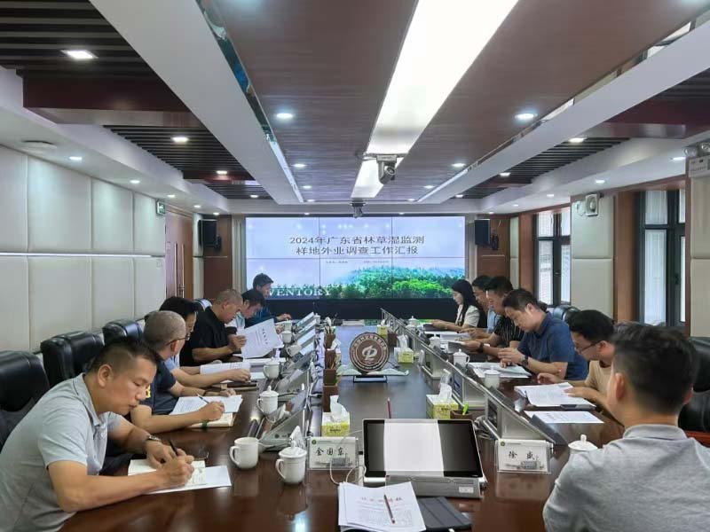 放网站5.jpg