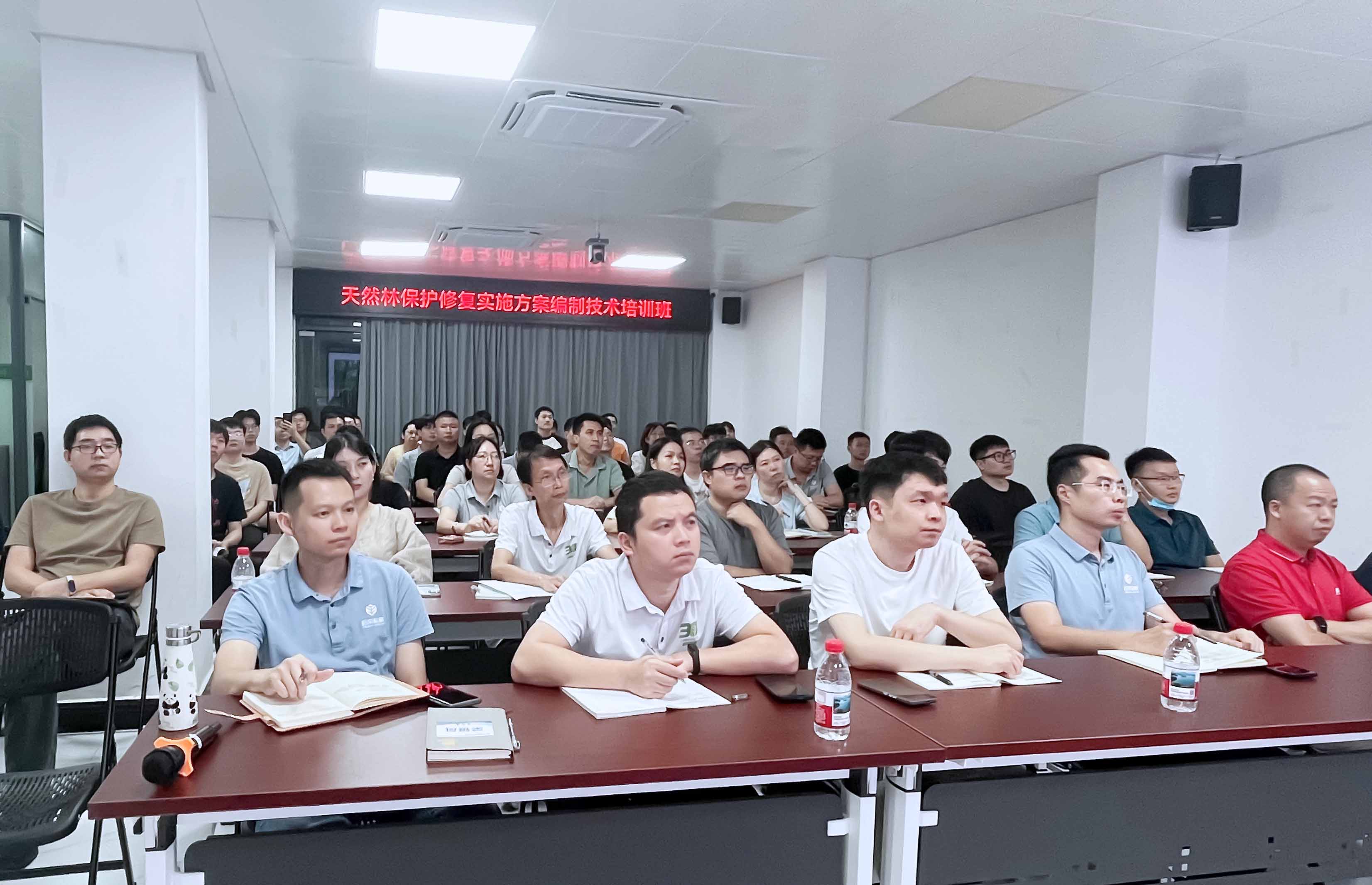放网站.jpg